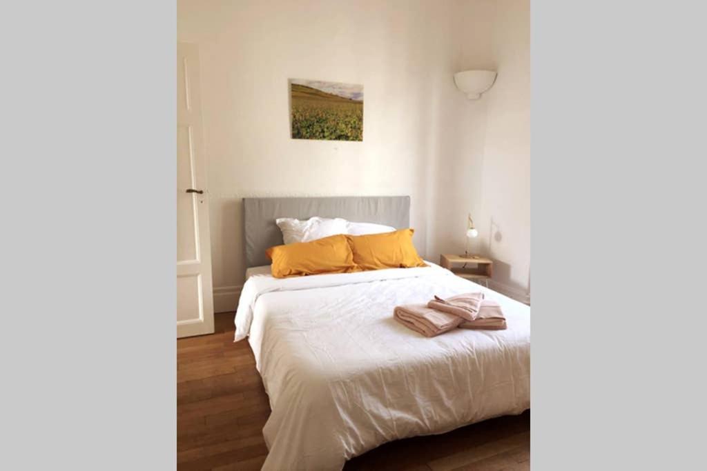 Appartement Cosy Idealement Situe Au Centre Ville Дижон Екстериор снимка